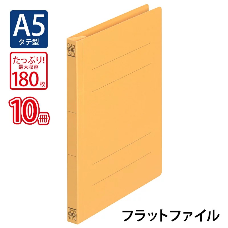 ﾌﾗｯﾄF.041N A5S YL10冊 GN