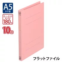 ﾌﾗｯﾄF.041N A5S PK10冊 GN
