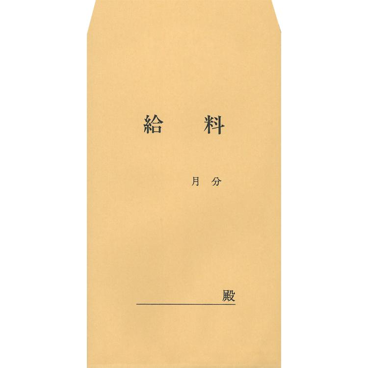 給与9-6 簡易給料袋 30枚P