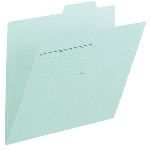 個別F FL061IF 87-095 BL ｴｺ