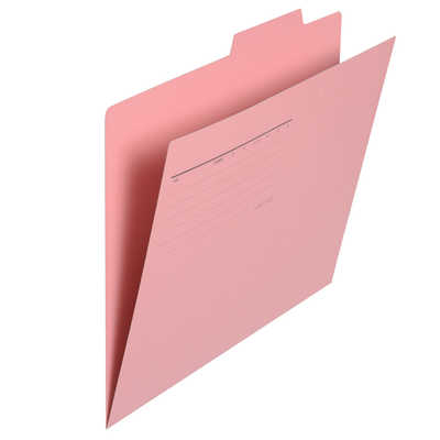 個別F FL061IF 870-98 PK ｴｺ